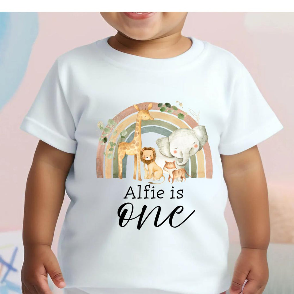 Boys First Birthday T-shirt, 1st Birthday Outfit, Personalised Kids Top, Birthday Gift For Boy