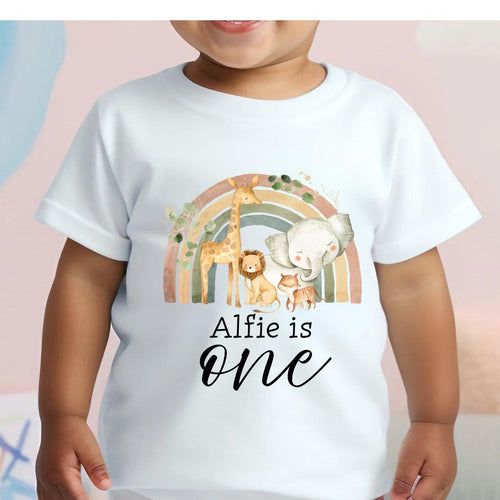 Boys First Birthday T-shirt, 1st Birthday Outfit, Personalised Kids Top, Birthday Gift For Boy